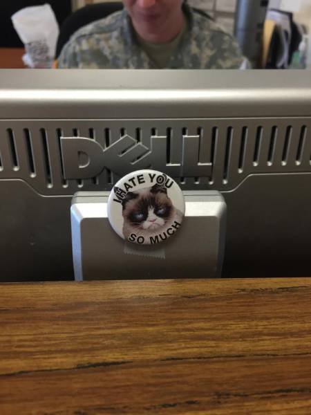 Bildschirmarbeiter - Picdump 18.09.2015