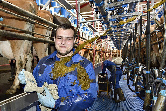 Bildschirmarbeiter - Picdump 25.09.2015