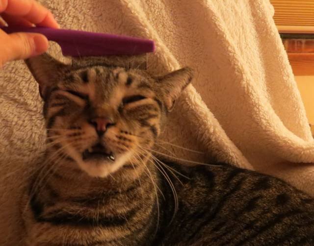 Bildschirmarbeiter - Picdump 25.09.2015