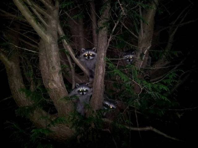 Bildschirmarbeiter - Picdump 25.09.2015