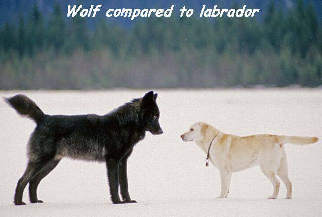 Bildschirmarbeiter - Picdump 25.09.2015