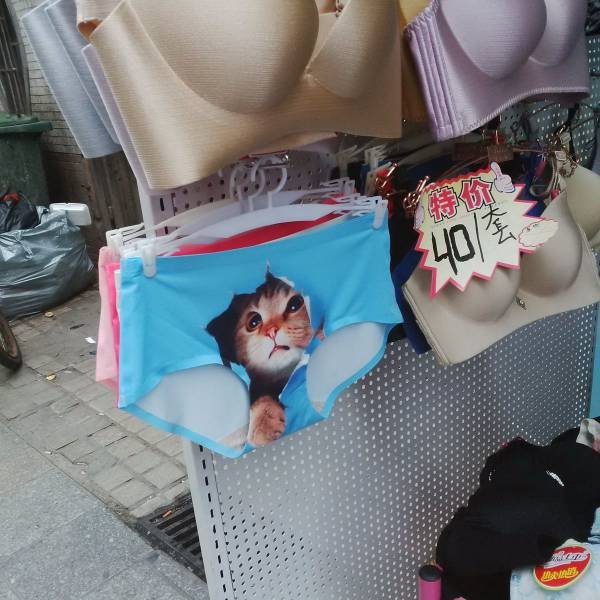 Bildschirmarbeiter - Picdump 25.09.2015