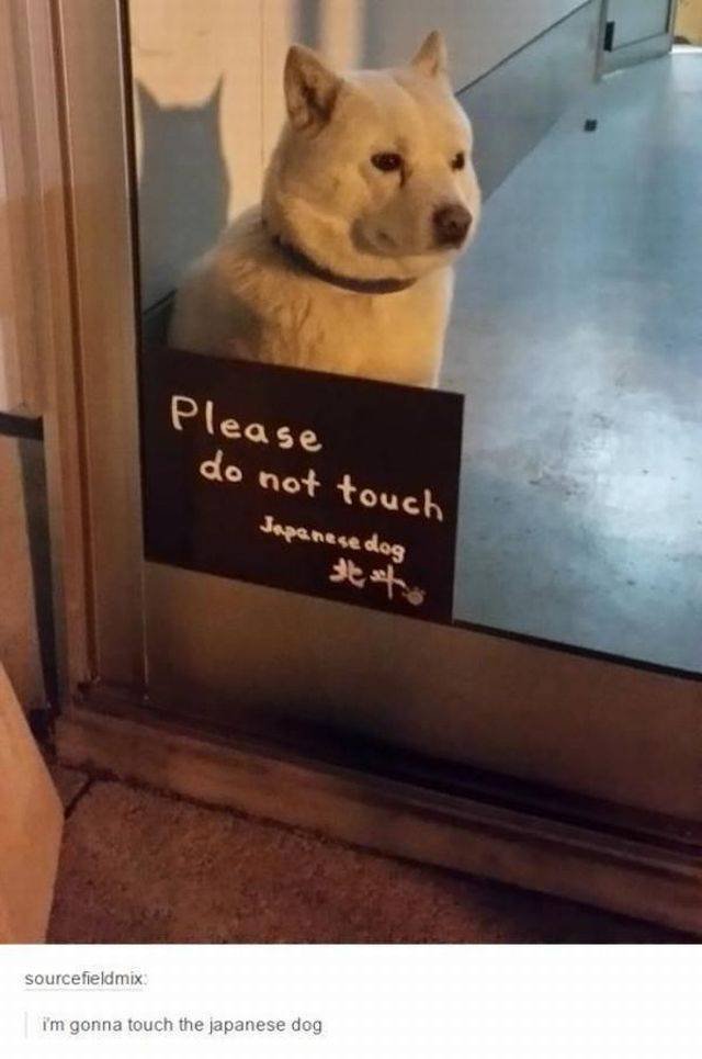 Bildschirmarbeiter - Picdump 25.09.2015