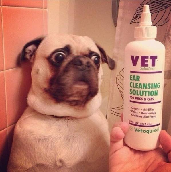 Bildschirmarbeiter - Picdump 25.09.2015