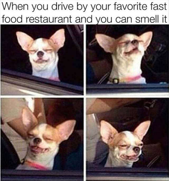 Bildschirmarbeiter - Picdump 25.09.2015