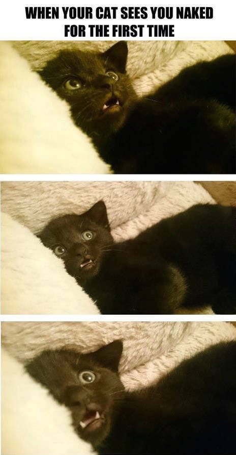 Bildschirmarbeiter - Picdump 25.09.2015