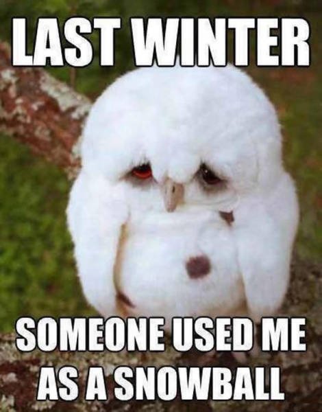 Bildschirmarbeiter - Picdump 25.09.2015