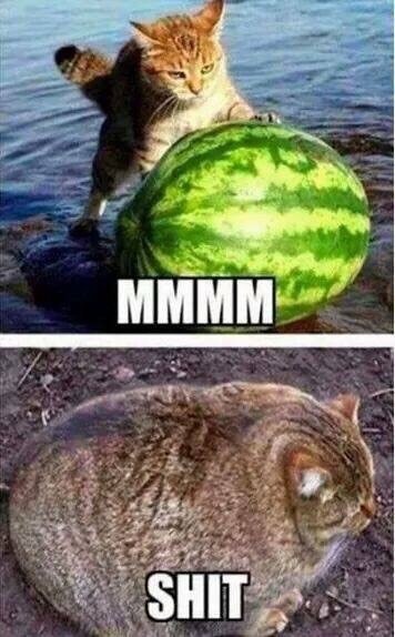 Bildschirmarbeiter - Picdump 25.09.2015