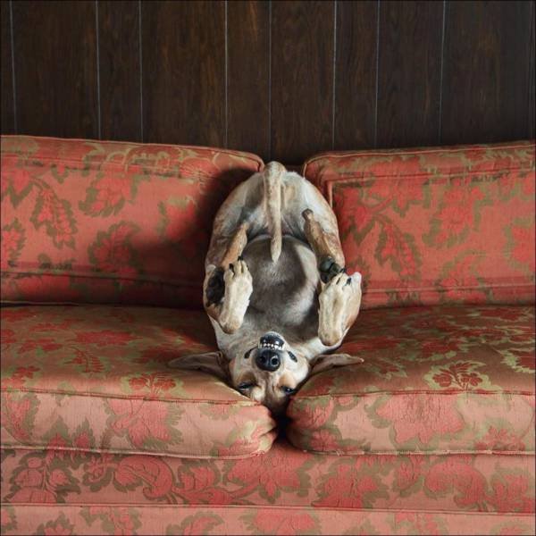 Bildschirmarbeiter - Picdump 09.10.2015