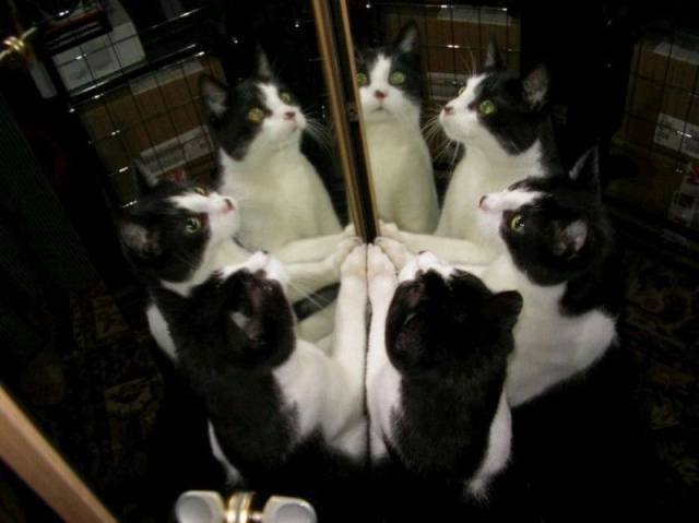 Bildschirmarbeiter - Picdump 09.10.2015