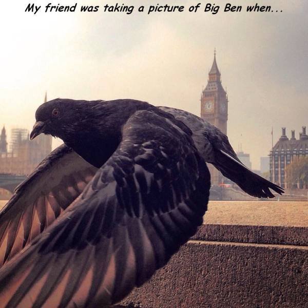 Bildschirmarbeiter - Picdump 09.10.2015