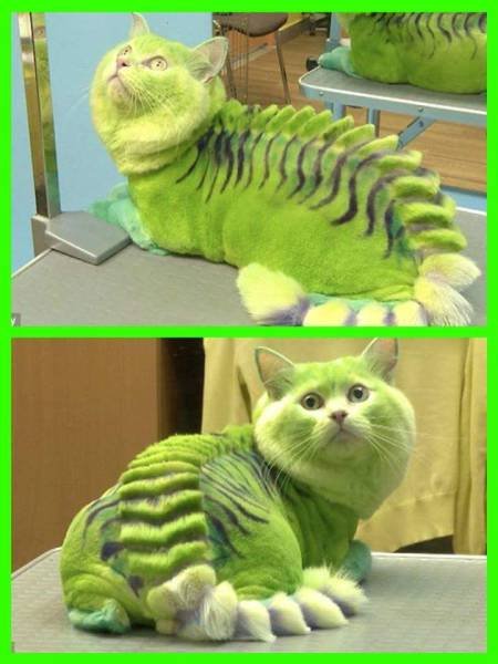 Bildschirmarbeiter - Picdump 09.10.2015