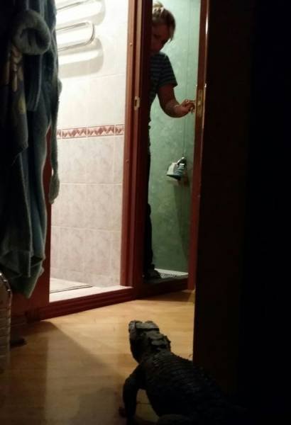 Bildschirmarbeiter - Picdump 09.10.2015