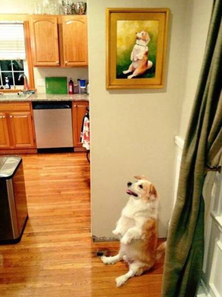 Bildschirmarbeiter - Picdump 09.10.2015