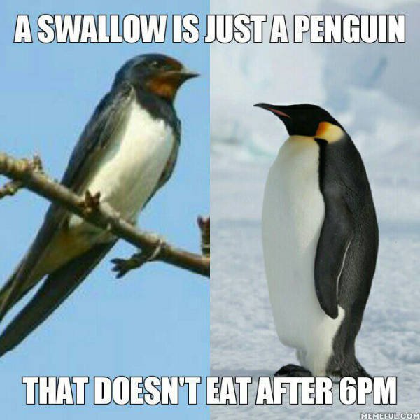 Bildschirmarbeiter - Picdump 09.10.2015