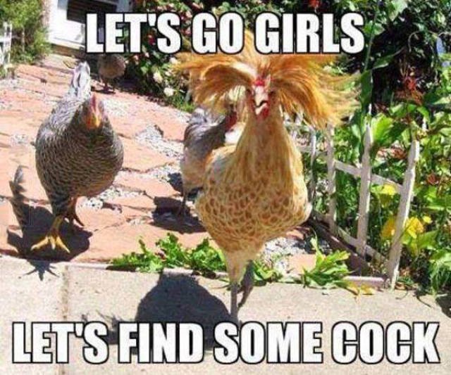 Bildschirmarbeiter - Picdump 09.10.2015