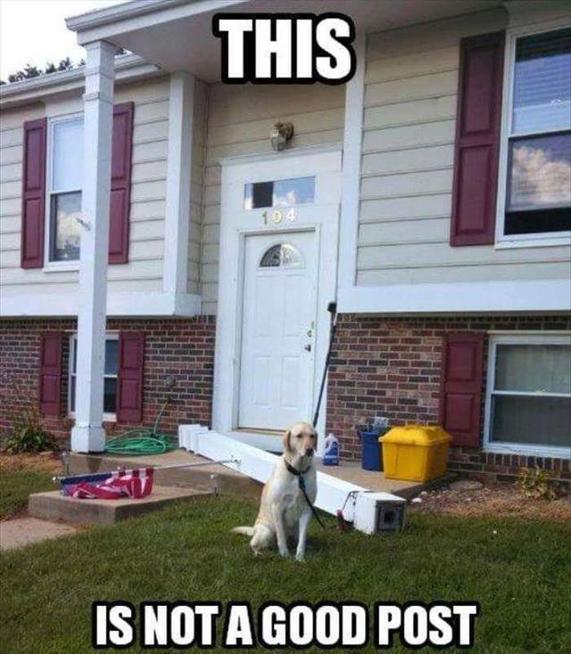 Bildschirmarbeiter - Picdump 09.10.2015