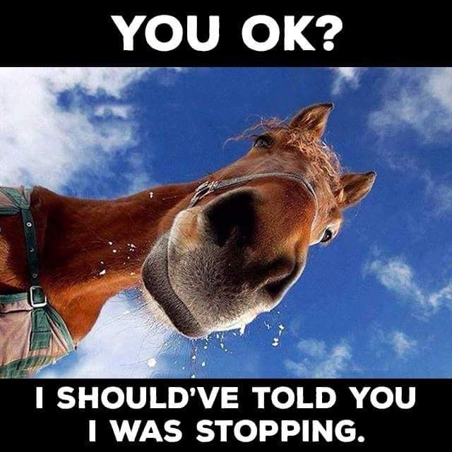 Bildschirmarbeiter - Picdump 09.10.2015