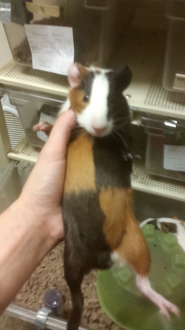 Bildschirmarbeiter - Picdump 16.10.2015