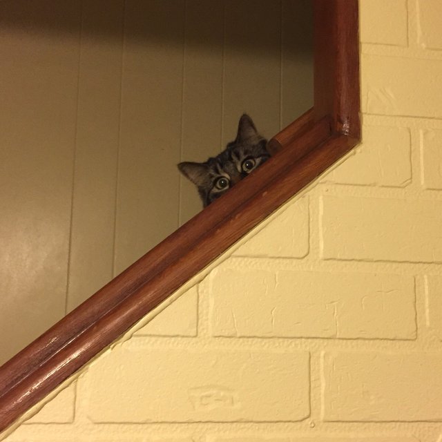 Bildschirmarbeiter - Picdump 16.10.2015