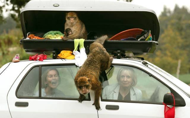 Bildschirmarbeiter - Picdump 16.10.2015