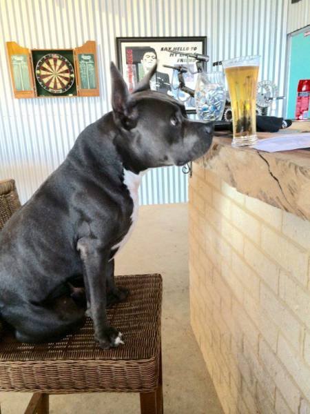 Bildschirmarbeiter - Picdump 16.10.2015