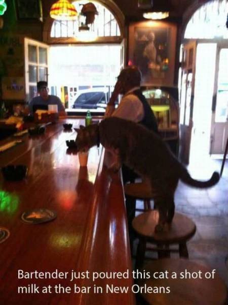 Bildschirmarbeiter - Picdump 16.10.2015