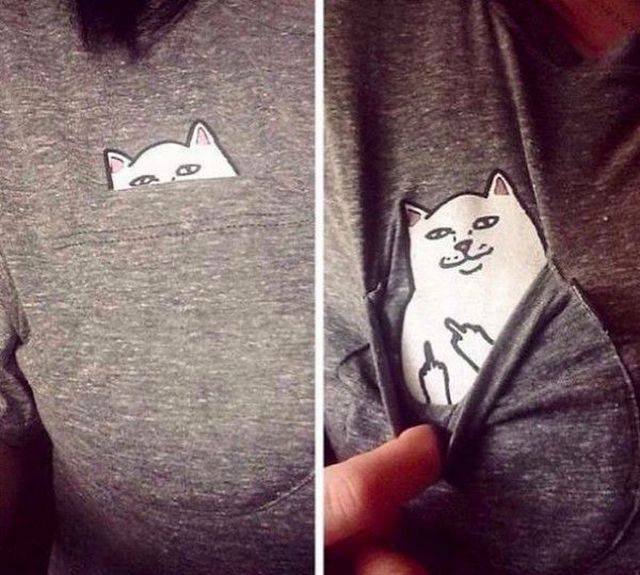 Bildschirmarbeiter - Picdump 16.10.2015