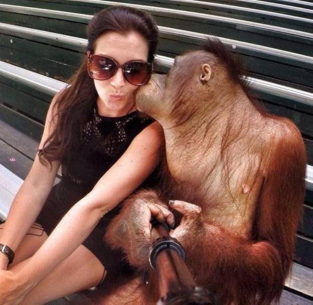 Bildschirmarbeiter - Picdump 16.10.2015