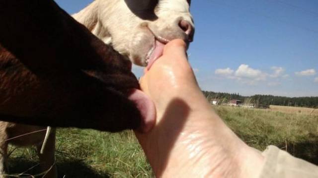 Bildschirmarbeiter - Picdump 16.10.2015