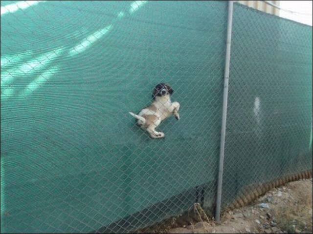 Bildschirmarbeiter - Picdump 16.10.2015