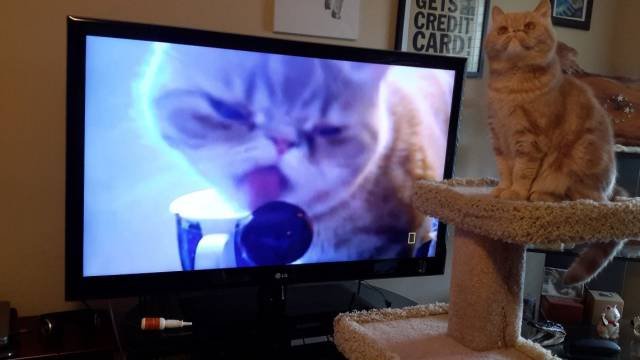 Bildschirmarbeiter - Picdump 16.10.2015