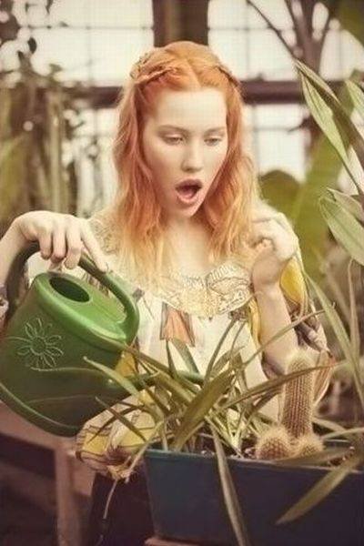 Bildschirmarbeiter - Picdump 16.10.2015