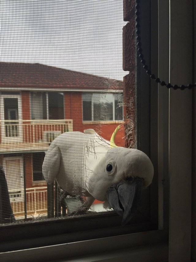 Bildschirmarbeiter - Picdump 16.10.2015