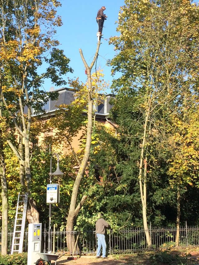 Bildschirmarbeiter - Picdump 16.10.2015