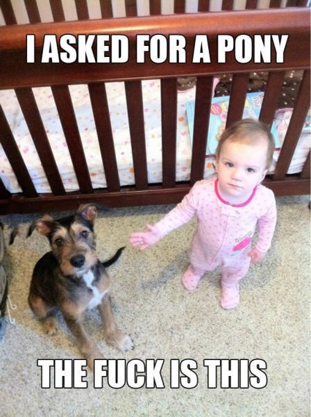 Bildschirmarbeiter - Picdump 16.10.2015