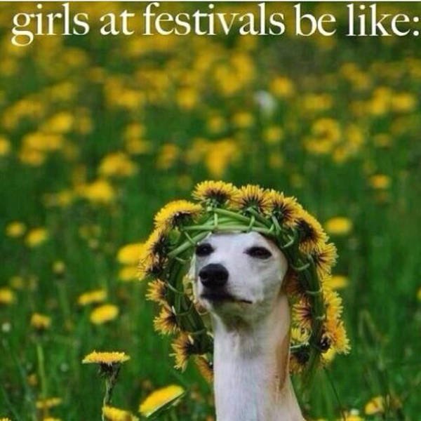 Bildschirmarbeiter - Picdump 16.10.2015