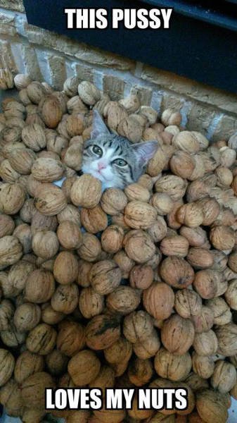 Bildschirmarbeiter - Picdump 16.10.2015