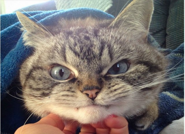 Bildschirmarbeiter - Picdump 16.10.2015