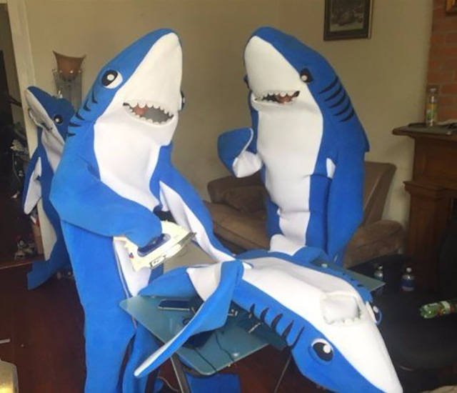 Bildschirmarbeiter - Picdump 16.10.2015