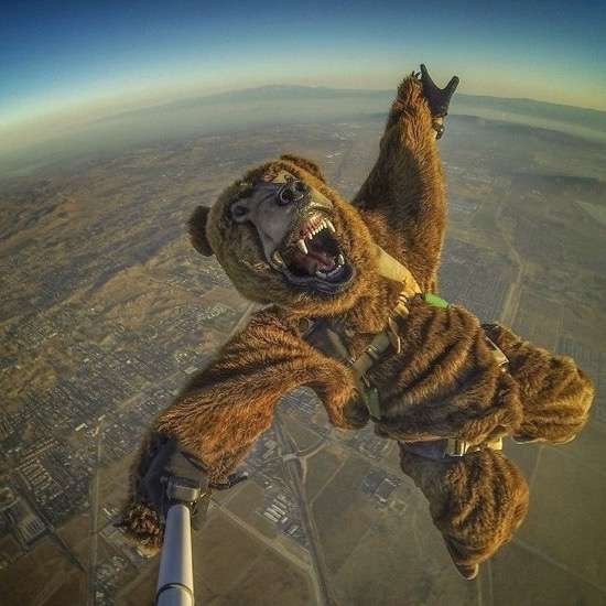 Bildschirmarbeiter - Picdump 16.10.2015