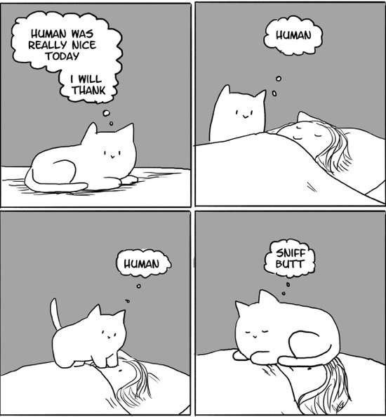 Bildschirmarbeiter - Picdump 16.10.2015