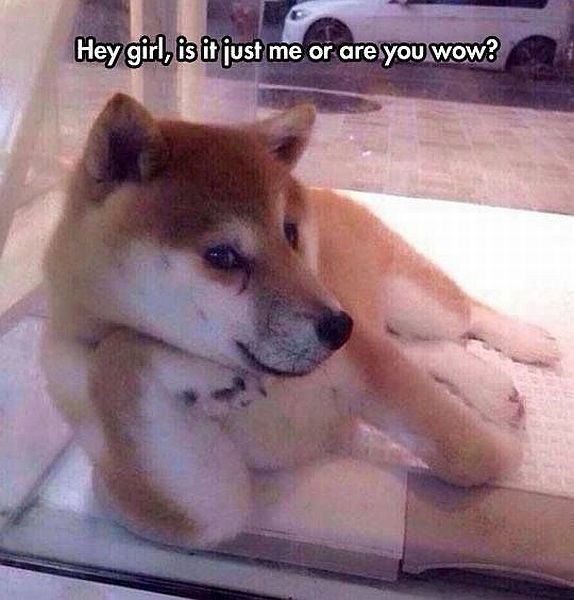 Bildschirmarbeiter - Picdump 16.10.2015