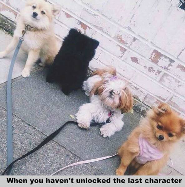 Bildschirmarbeiter - Picdump 23.10.2015