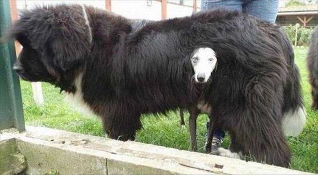 Bildschirmarbeiter - Picdump 23.10.2015