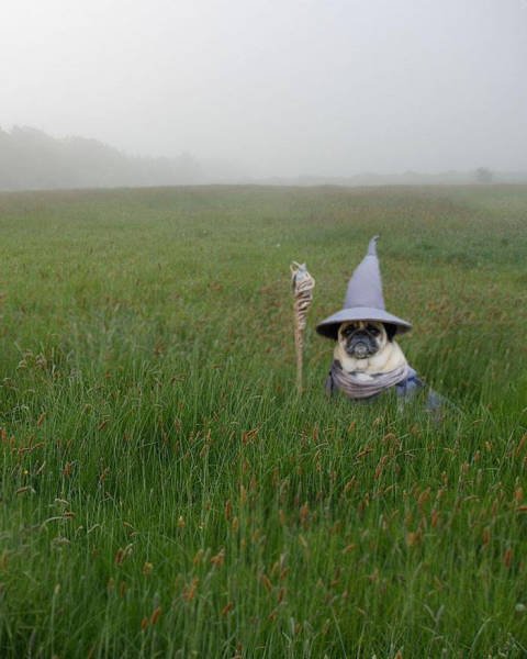 Bildschirmarbeiter - Picdump 23.10.2015