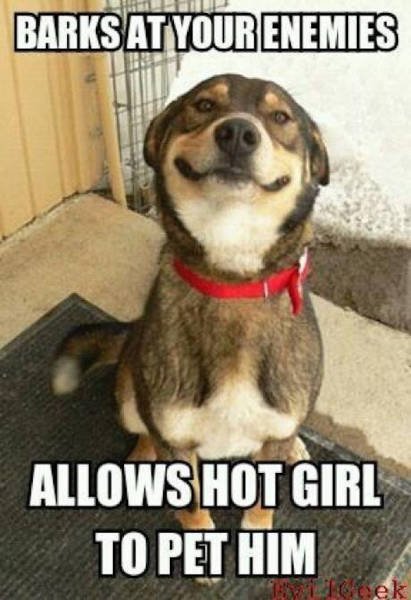 Bildschirmarbeiter - Picdump 23.10.2015