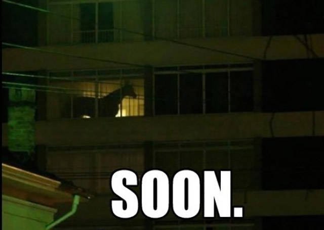 Bildschirmarbeiter - Picdump 06.11.2015