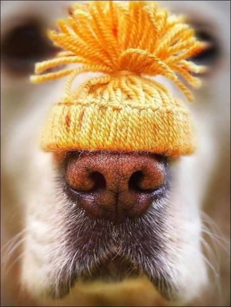 Bildschirmarbeiter - Picdump 06.11.2015