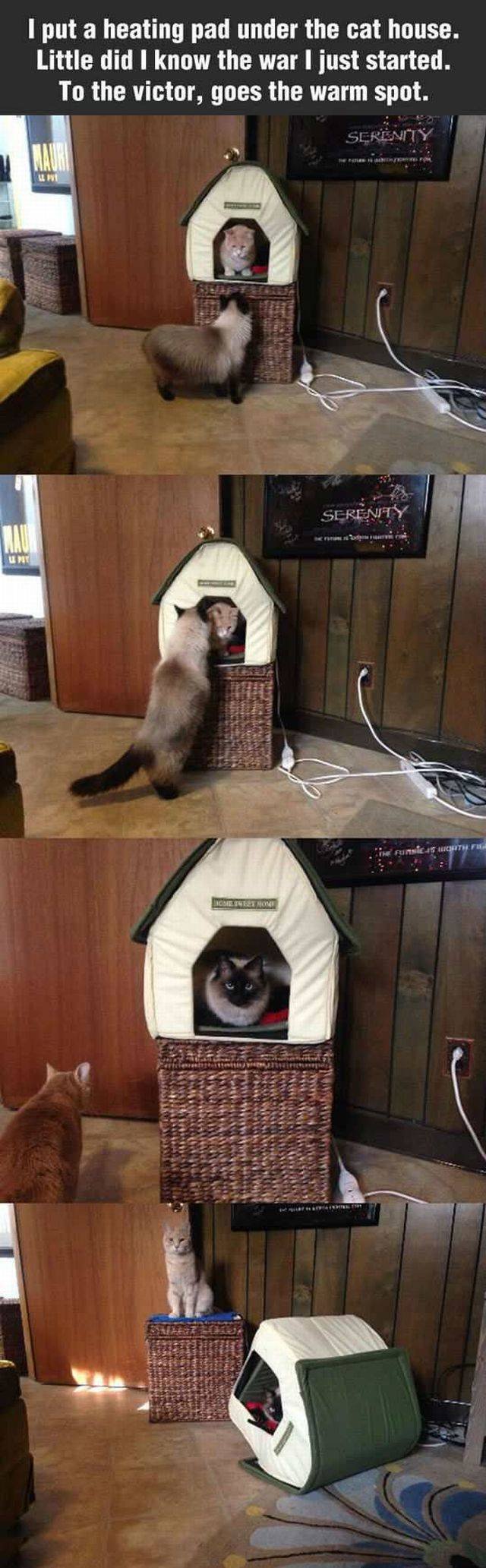 Bildschirmarbeiter - Picdump 06.11.2015